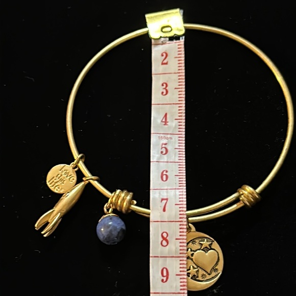 NWOT-Love You To The Moon And Back Bracelet - Picture 9 of 9
